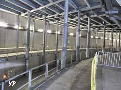 Stade de France - sous la tribune mobile