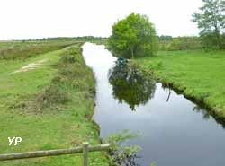 Marais de Brière