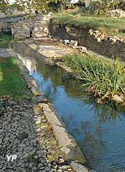 Site archéologique de Tholon (doc. Service Archéologie de la Ville de Martigues)