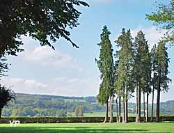 Château de Lorière
