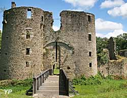 Château de Ranrouët