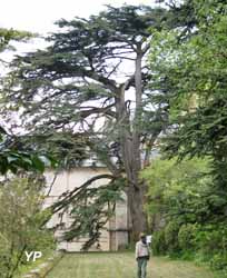 Abbaye fortifiée de Loc-Dieu
