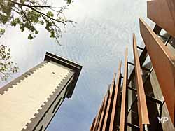 Maitetxu Etchevarria Patiras