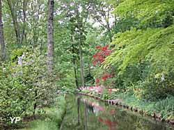 Arboretum des Prés des Culands-Conservatoire National d'Ilex