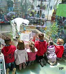 Maison des Abeilles - Parc naturel de la Brenne