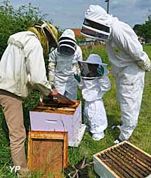Maison des Abeilles - Parc naturel de la Brenne
