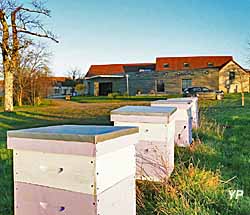 Maison des Abeilles - Parc naturel de la Brenne