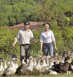 Musée du Foie Gras