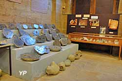 Musée de géologie et des minéraux (doc. L. Thomas)