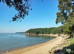 Saint-Nazaire - plage de Bonne Anse (doc. A. Klose/SNTP)