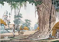 Route dans le Bengale