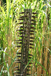 Le Jardin d'Éguilles