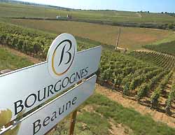 En Bourgogne, le vignoble de Beaune (doc. Hendrick Monnier)