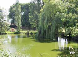 Château de Bonnemie