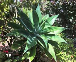 Jardins de la Boirie