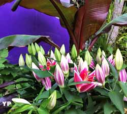 Jardins de la Boirie