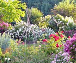 Jardins de Roquelin (Jardins de Roquelin)