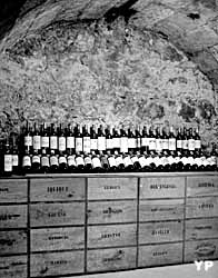 Musée du vin et du négoce (Musée du vin et du négoce)