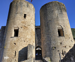 Château de Villandraut (Association Adichats)