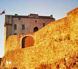 Château de Montaigut