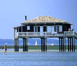 cabane tchanquée dans le bassin d'Arcachon