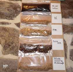 Moulin à vent de Crec'h Olen