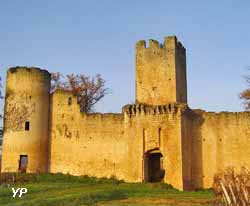 Château de Budos (Association Adichats)