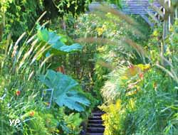 Perspective vers le jardin d'eau