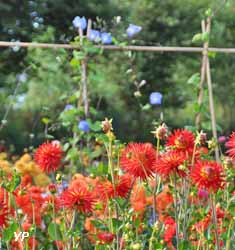 Jardin botanique du Lycée Agricole et Horticole