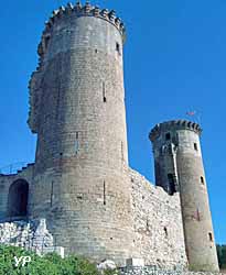 Château des comtes de Provence (OT Châteaurenard)