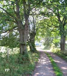 Bocage de Noirlac (Sandra Cayla / Conseil général du Cher)