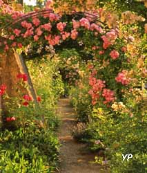 Pergola du chemin de terre  (La Bonne Maison)