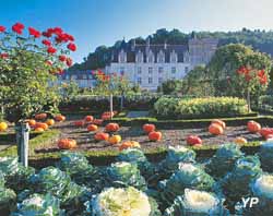 Jardins et château de Villandry