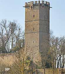 Tour de l'Aubespin