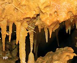 Grotte du Grand Roc - des concrétions