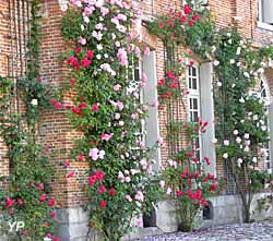 Roseraie du château de Mesnil Geoffroy