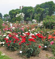 Roseraie générale