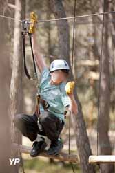 Parcours Aventures Le Royaume des arbres