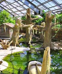 La Planète des Crocodiles