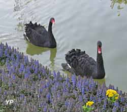 Jardin Botanique de la Font de Bezombes