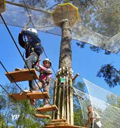 Vivons perchés - Parcours Aventure en forêt