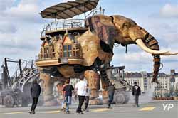 Machines de l'île - Eléphant