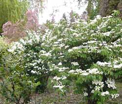 Jardin de la Mardelle