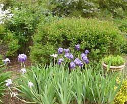 Jardin de la Mardelle