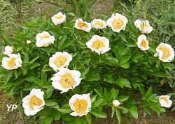 Jardin de la Mardelle