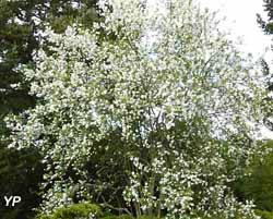 Jardin de la Mardelle