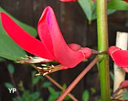 Jardins de la Chènevière