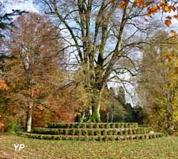 Arboretum du château de Neuvic d’Ussel