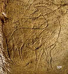 Grotte de Pair-non-Pair - gravure de cheval tournant la tête (Philippe Berthe CMN)