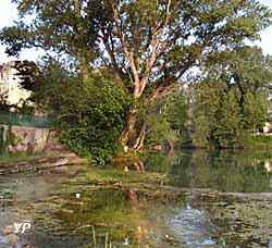 Roquemaure - jardin botanique